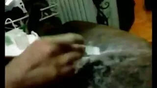 في بوف الإباحية سكسي افلام مترجم سمراء المصات و ركوب بونر